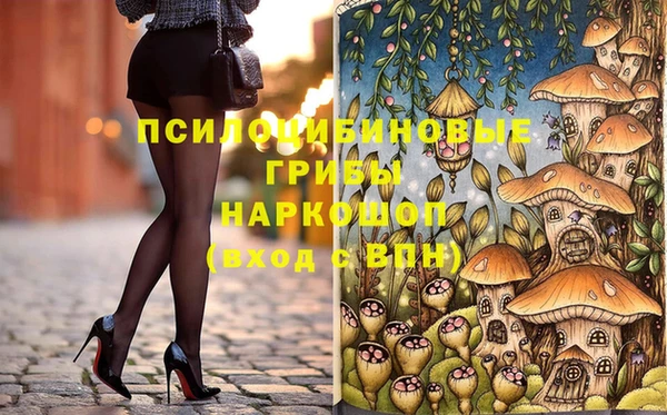 дживик Инсар