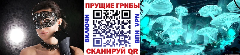Купить где  Ярцево  Галлюциногенные грибы прущие грибы 